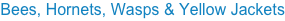 shapeimage_3_link_11